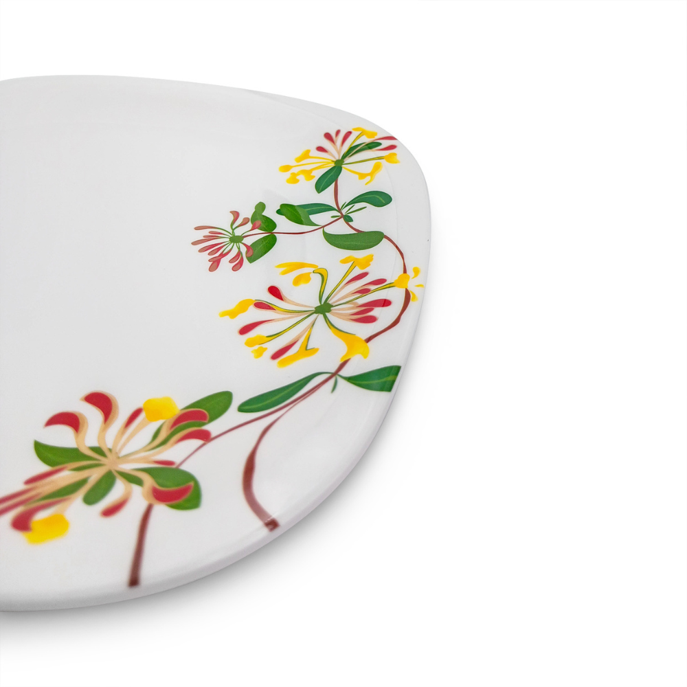 Dinner Plates Set