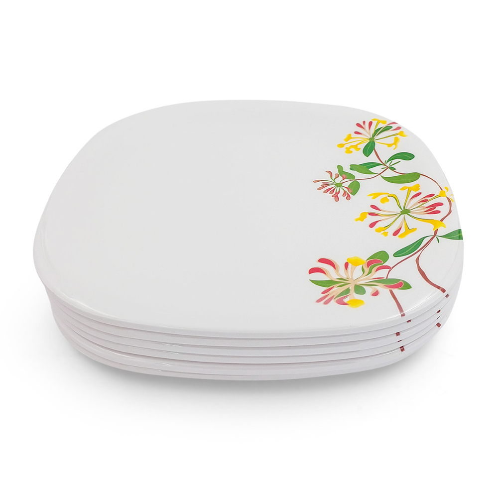 Dinner Plates Set