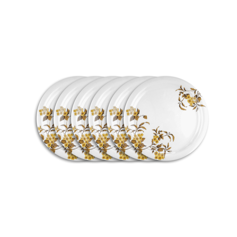 SUPERWARE_PlateSet-FRENCHROSE6Nos._1-1.png